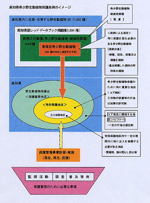 宮崎 高知のアカメ採捕禁止